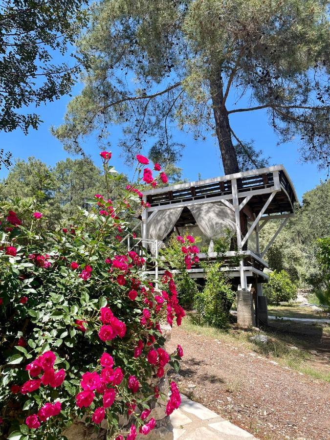 Angels Garden Hotel Kumluca Екстериор снимка